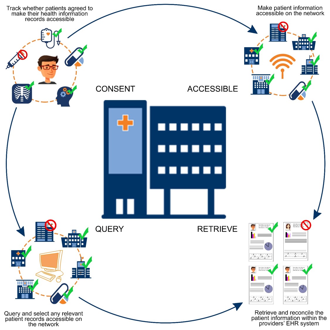 The patient data Query, Select, and Retrieve cycle